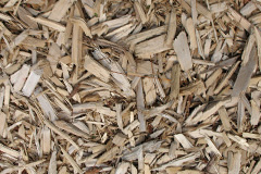 biomass boilers Bogach